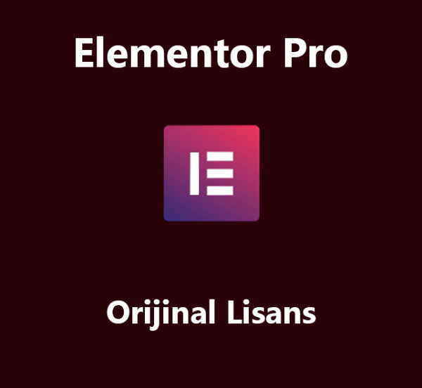 Elementor Pro