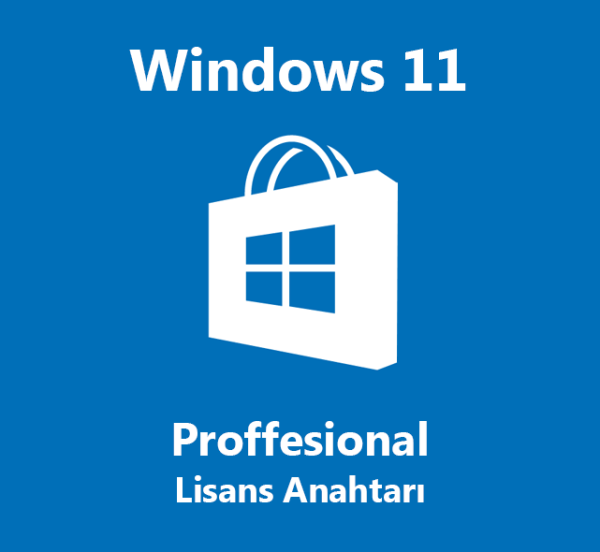 OEM Windows 11 Pro (Online Aktivasyon)